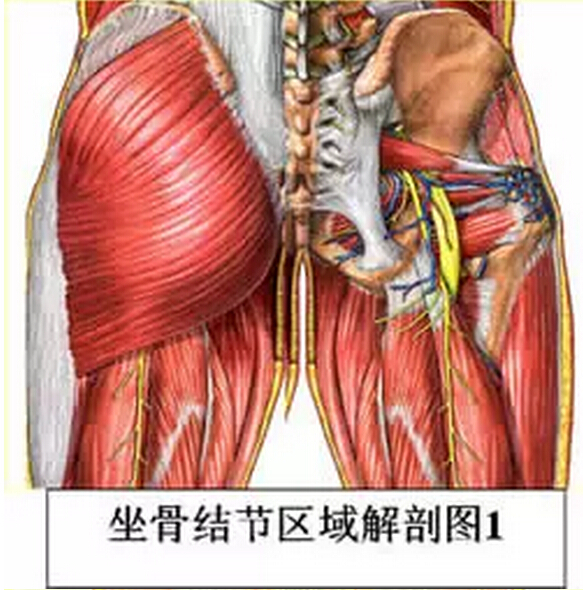 针刀治疗腰骶部