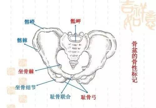 针刀治疗腰臀部疼痛 科研动态 龙川县两渡河医院